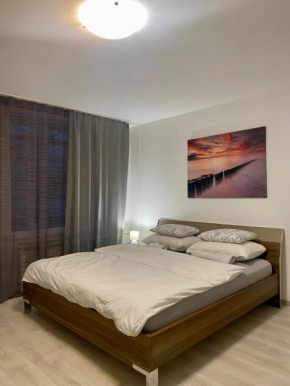 Blue Sky Apartment